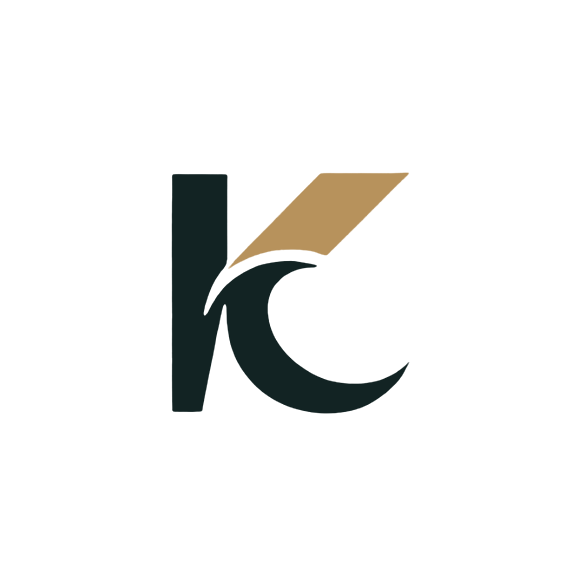KYDEL CONCIERGE LTD logo